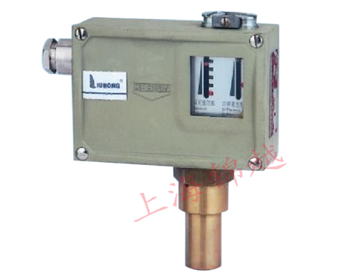 防爆壓力控制器  D505/7D、D505/7DK